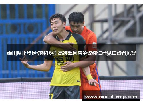 泰山队止步足协杯16强 高准翼回应争议称仁者见仁智者见智